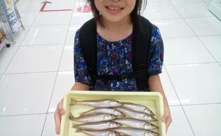 鹿児島市内キス釣り釣果！！