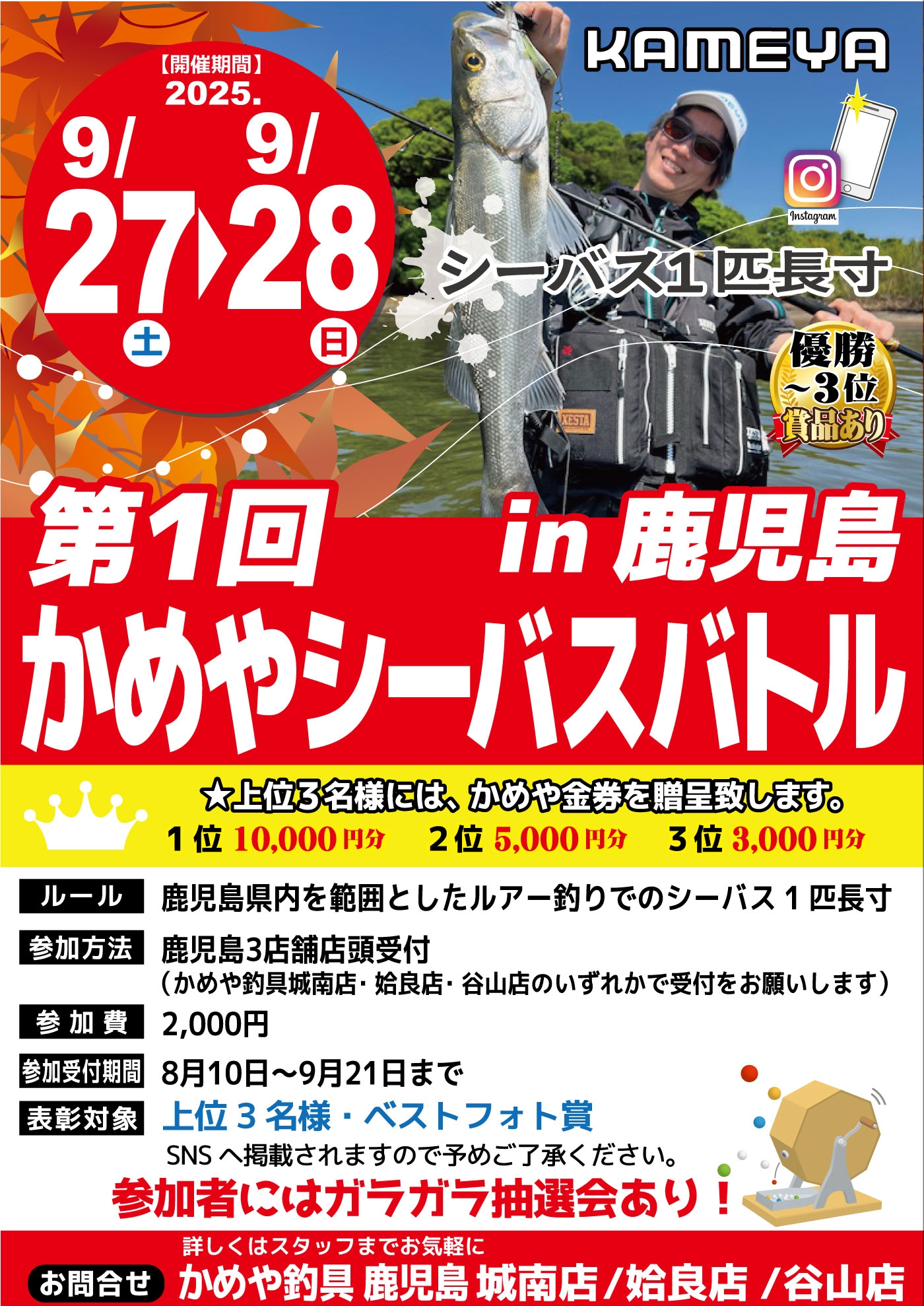 かめちゃんず　購入募集ページ カメちゃん🐷♥️ on X