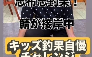 志布志 港 釣果情報 フィッシング都城