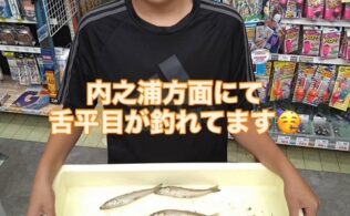 内之浦釣果情報