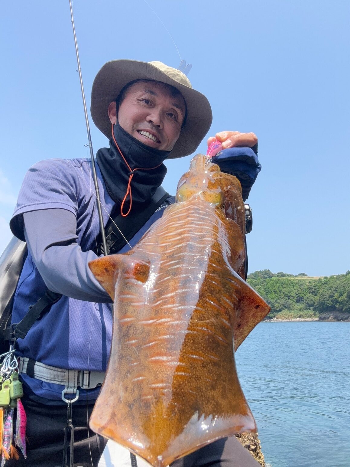 長島にて夏アオリイカ狙えますよ～ 鹿児島姶良店 | かめや釣具