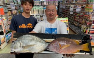 シブダイ釣果 県南方面地磯にて フィッシング都城