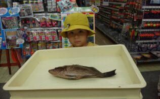 錦江湾 島 オオモンハタ F都城店