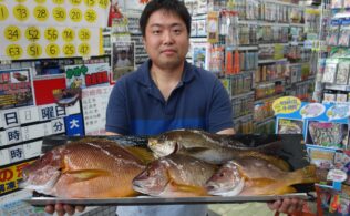 佐多岬　浜尻沖磯　シブダイ　釣果