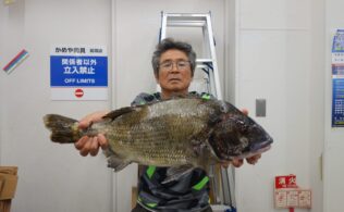 2025/09/20　黒鯛55cm