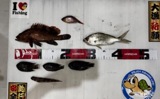 沢山のお魚お持込み頂きました！