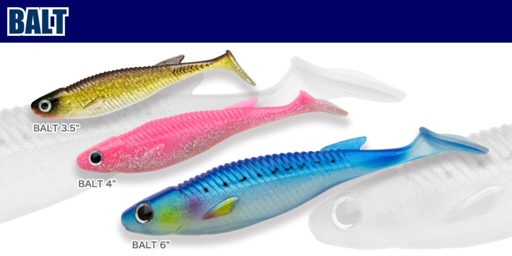 MAIN_ECOGEAR_BALT-1024x512