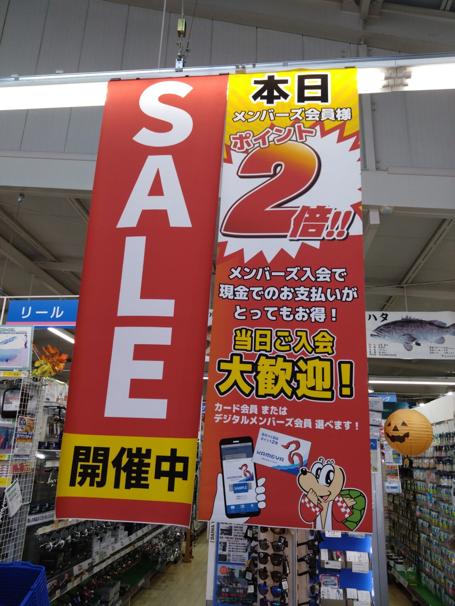 📢本日は『ポイント2倍のツローの日✨』お買物をするなら今日がお得