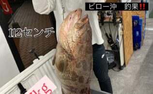 志布志沖　ジギングにて　チャイロマルハタ22.37キロ　釣果　フィッシング都城