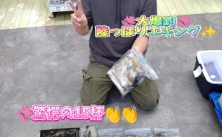 本日のお持ち込み🦑アオリイカ大爆釣✨