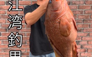 錦江湾　ビックサイズなキジハタ　の釣果　フィッシング都城