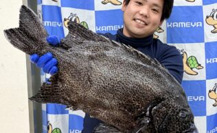 良型イシガキダイのお持ち込み！！　鹿児島姶良店