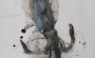 谷山アオリイカ好調！！