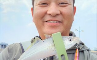 宮崎港　アジ・カマス釣れてます！