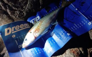 【釣果情報】フカセで尺アジ狙い in日向沖磯　かめや釣具鹿児島姶良店