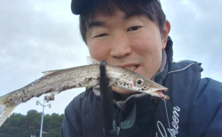 宮崎港でカマスの釣果！！宮崎店