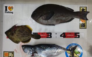 鴨池方面にてカワハギ・グレ・スマガツオ釣果！鹿児島城南店