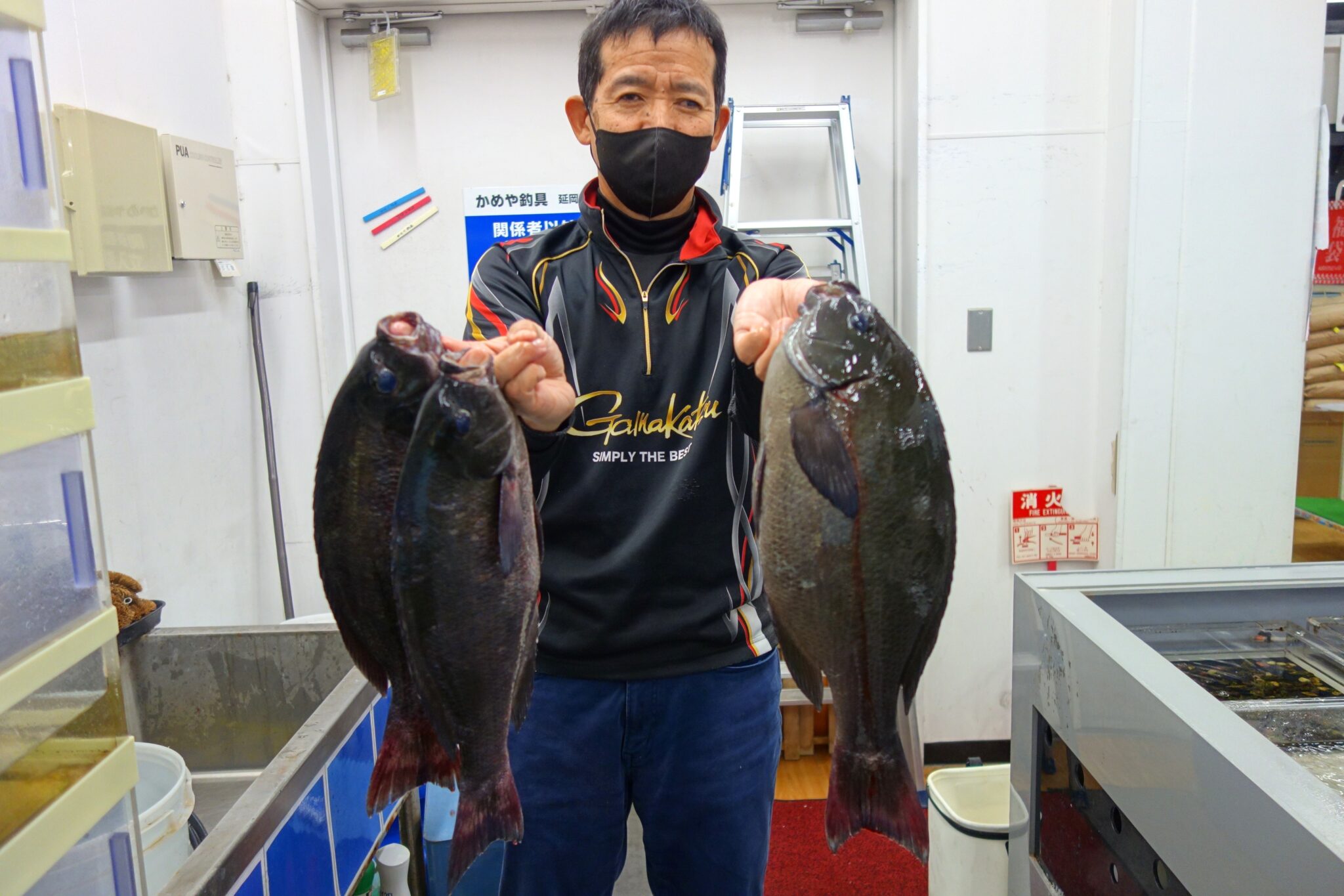 2025年12月2日 口太グレ 45cm 大分鶴見 | かめや釣具