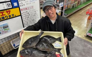 内之浦 沖磯グレ絶好調！！フィッシング都城