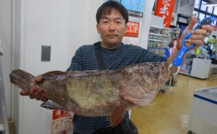 2026年2月1日　クエ　津久見