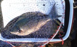 スタッフ釣果🎣佐多岬フカセ釣りに行ってきました✨