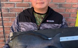 ダグリ岬　グレ釣果