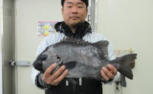 良型石鯛のお持込み！宮崎店