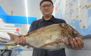 串木野　タイラバ　真鯛釣果！