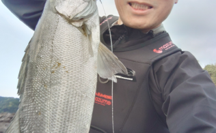 日南海岸でヒラスズキの釣果!!宮崎店