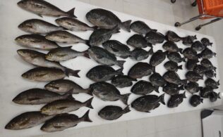 日置方面でのフカセ釣果頂きました！鹿児島城南店