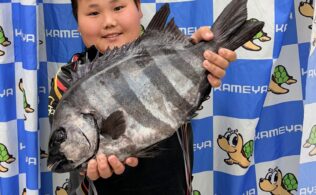 【釣果情報】坊津沖磯にて石鯛釣れてます！　鹿児島姶良店