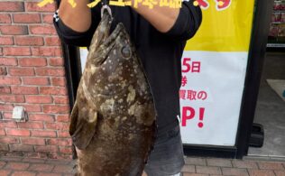 タマクエ降臨！！