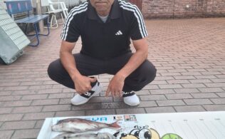 錦江湾島にてアオリイカの釣果！！フィッシング都城