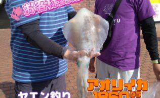 ヤエン釣りで良型アオリイカゲット🦑フィッシング都城