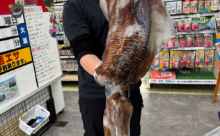 レッドモンスター級！？4400ｇ アオリイカ降臨