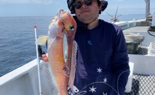 甘鯛 アオハタ 真鯛 イサキなど多数釣れています