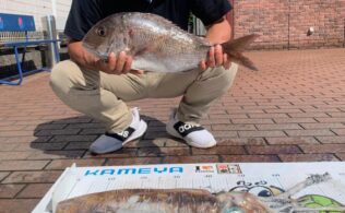 錦江湾 島 真鯛&障泥烏賊 釣果 ありがとうございます