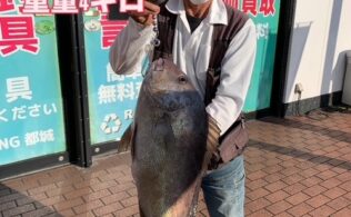 🌸湾島 釣果 フィッシング都城店