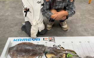 🌸 湾島 アオリイカ 釣果 フィッシング都城