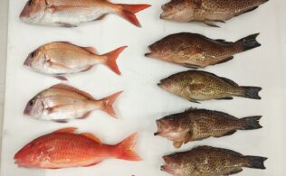 お子様釣果お持ち込み頂きました！フィッシングチャレンジ！鹿児島城南店
