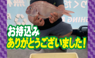 隼人の海イカダ　盛運丸にて釣果情報