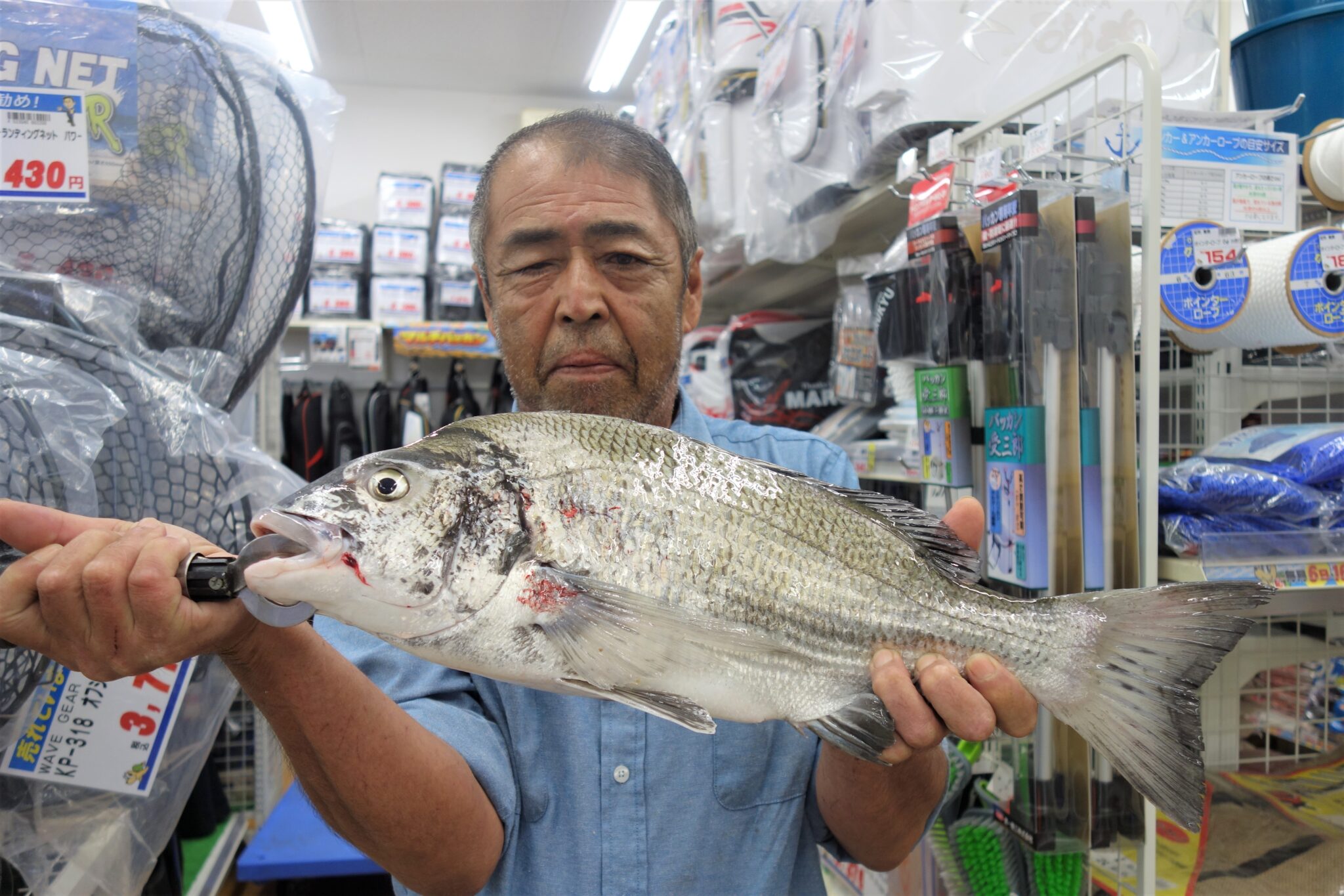 2026年9月13日 黒鯛 年無しサイズ53cm 大分蒲江 | かめや釣具