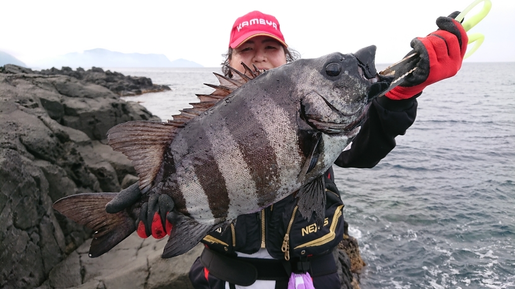 石鯛釣行！ | かめや釣具