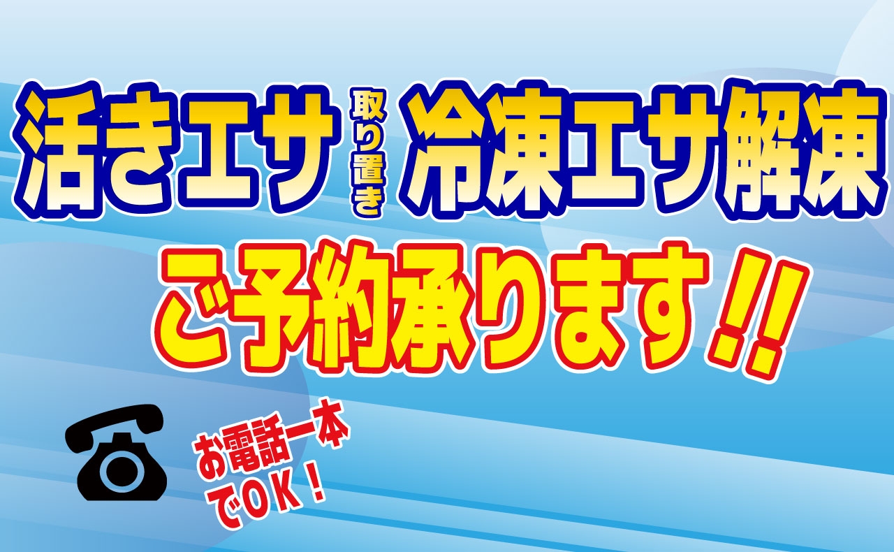 かめや釣具 かめや釣具山陰エリア釣果情報