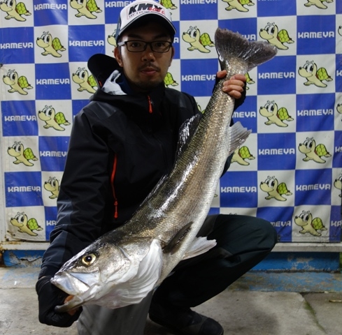 06 21 江の川河口 シーバス 1匹 かめや釣具