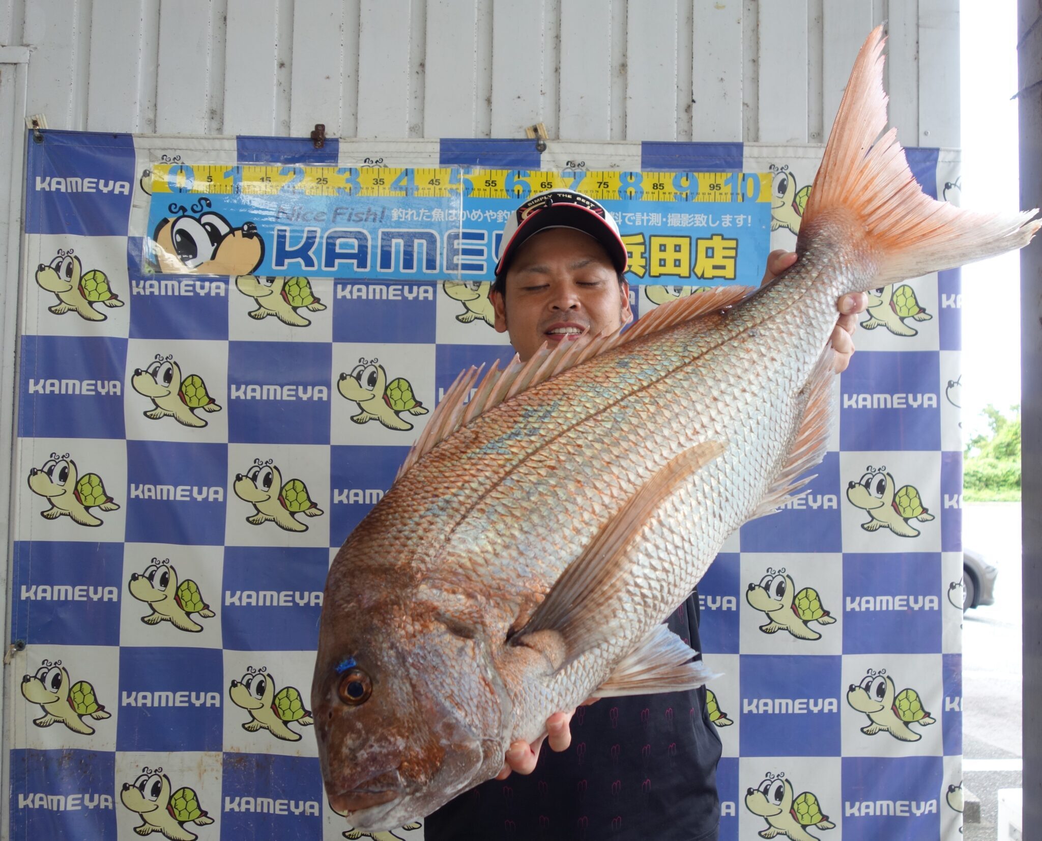 浜田港沖各波止、カゴ釣り釣果が上向いてきています!! | かめや釣具