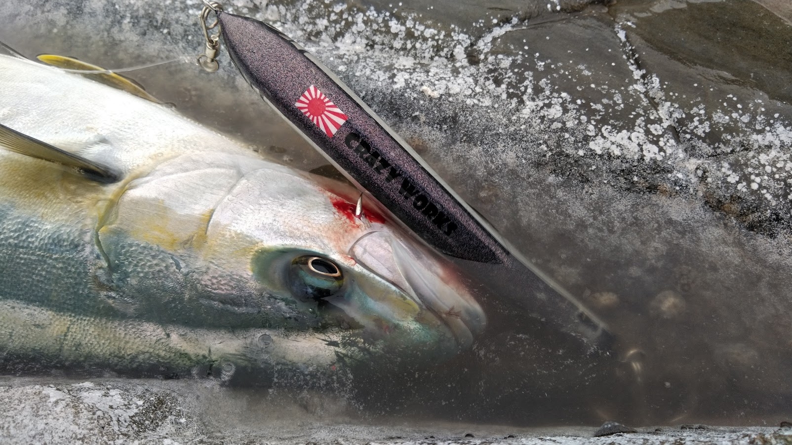 ロックショア　ルアー ロックショア トップゲーム | かめや釣具