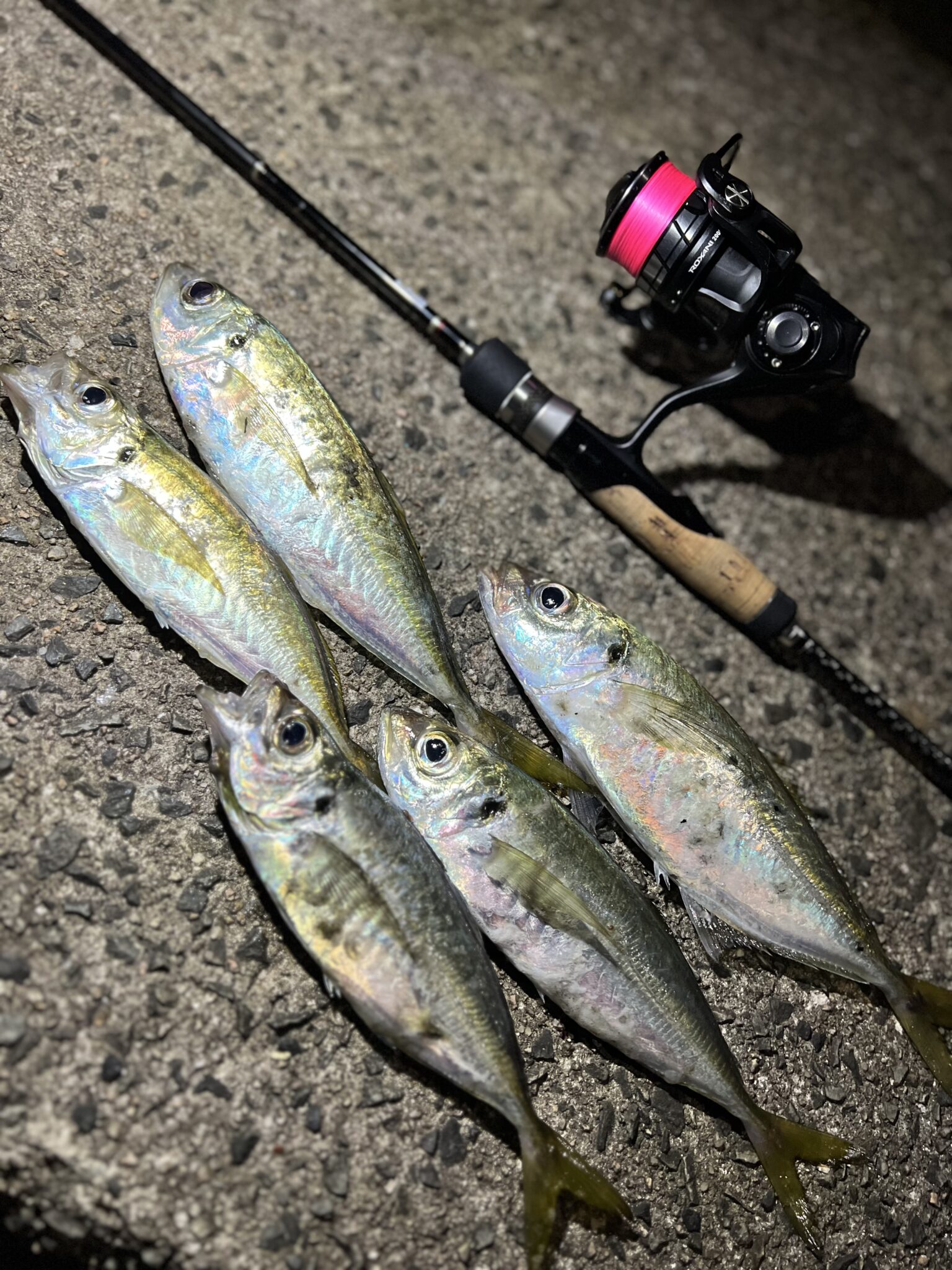 9FBB2E24-81C3-4A60-885A-