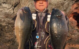 隠岐の島　グレ