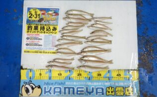 2025.6.29 長浜サーフ　キス